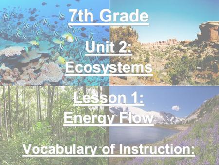 Vocabulary of Instruction: