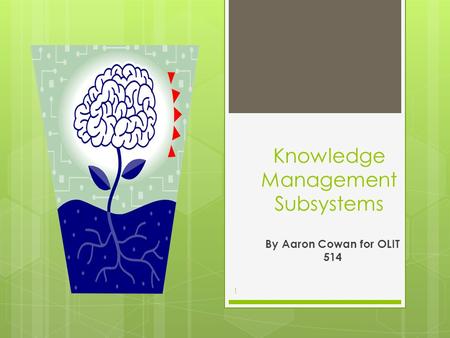 Knowledge Management Subsystems