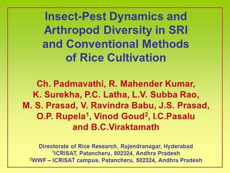 Insect-Pest Dynamics and Arthropod Diversity in SRI