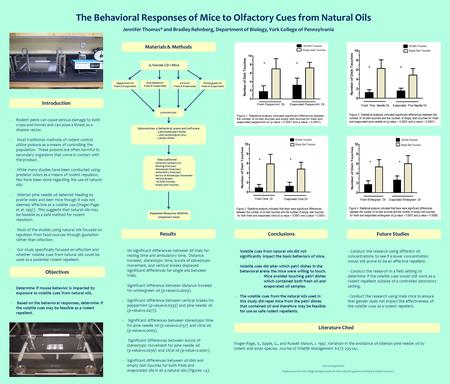 The Behavioral Responses of Mice to Olfactory Cues from Natural Oils Jennifer Thomas* and Bradley Rehnberg, Department of Biology, York College of Pennsylvania.