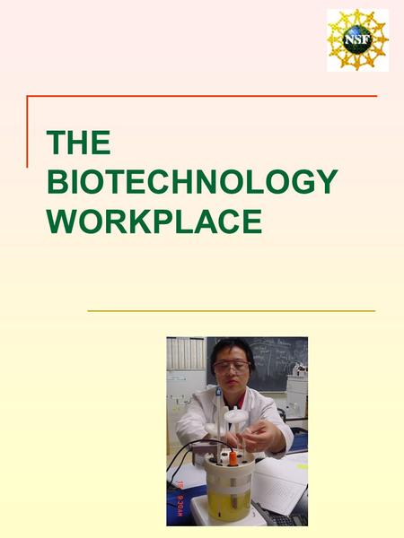 THE BIOTECHNOLOGY WORKPLACE. OVERVIEW Biotechnology workplaces Laboratories.