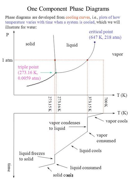 One Component Phase Diagrams