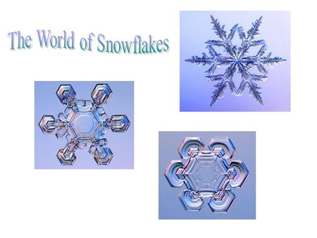 The Water Cycle Each snowflake begins as a single snow crystal.