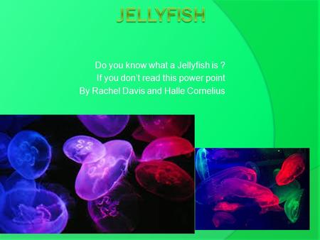 Do you know what a Jellyfish is ? If you don’t read this power point By Rachel Davis and Halle Cornelius.