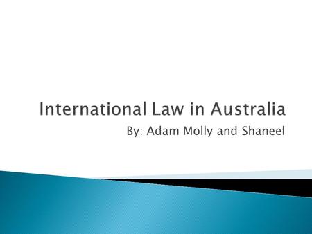 By: Adam Molly and Shaneel  The Commonwealth has the power to sign treaties on behalf of the Australian people ◦ External Affairs power (Section 51[29])