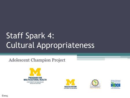 Staff Spark 4: Cultural Appropriateness Adolescent Champion Project ©2015.