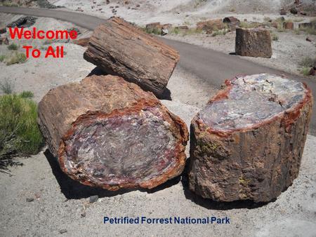 Petrified Forrest National Park Welcome To All. Let Us Worship In Song Song Leader – John Scott / Chris Craig  First Hymn # 267  Second Song # 406 Opening.