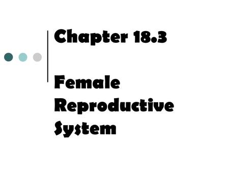 Chapter 18.3 Female Reproductive System. Structure of the Female Reproductive System At birth, a female’s ovaries contain around 400,000 immature ova,