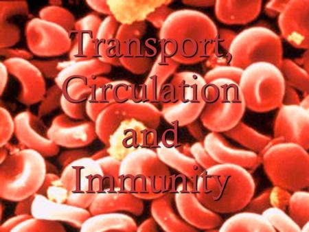 Transport, Circulation and Immunity. Functions of Blood… Blood is part of the ________________ and is the means by which ____________and ____________.