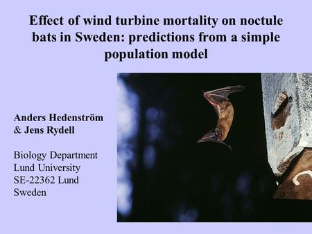 Effect of wind turbine mortality on noctule bats in Sweden: predictions from a simple population model Anders Hedenström & Jens Rydell Biology Department.