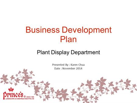 Business Development Plan Plant Display Department Presented By : Karen Chua Date : November 2014.