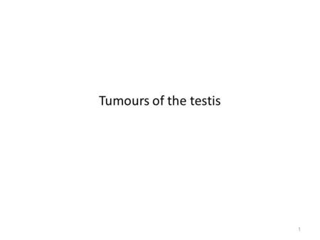 Tumours of the testis 1. Introduction ❏ any solid testicular mass in young patient – must rule out malignancy ❏ slightly more common in right testis (corresponds.