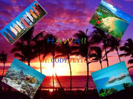 HAWAIIHAWAII BY: CODY,PEYTON. MAP The flight took 13 hrs. 24 min. We will drive to the Austin airport.