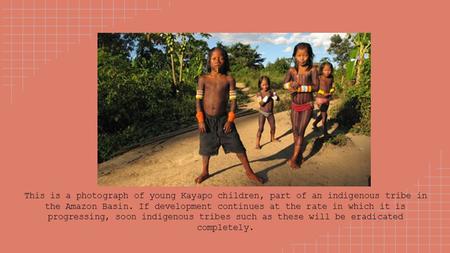 This is a photograph of young Kayapo children, part of an indigenous tribe in the Amazon Basin. If development continues at the rate in which it is progressing,