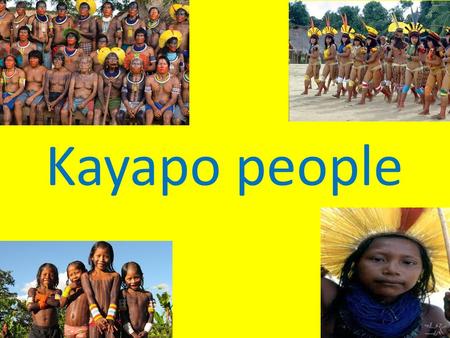 Kayapo people. Who are the Kayapo people? The Kayapo people are an indigenous tribe that live in the Amazon Rainforest. There are approximately 9,000.