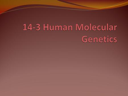 How do you handle huge amounts of information? When looking in an encyclopedia you use an index When biologists search the volumes of the human genome.