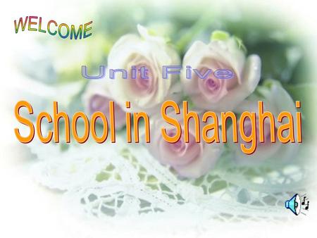 玩得痛快 have a wonderful time 在新学期的开始 at the start of the new term 做更多的听读练习 do more listening and reading 在未来 in the future 到达上海 arrive in shanghai 围着大树走.