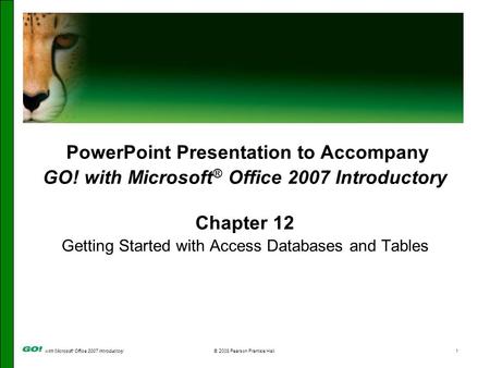 With Microsoft Office 2007 Introductory© 2008 Pearson Prentice Hall1 PowerPoint Presentation to Accompany GO! with Microsoft ® Office 2007 Introductory.