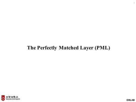 The Perfectly Matched Layer (PML)