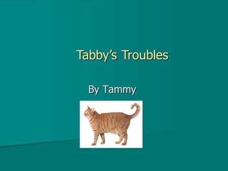 By Tammy Tabby’s Troubles Tabby was a very curious cat Tabby was always getting into trouble Tabby was always getting into trouble He liked to chase.