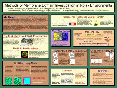 Methods of Membrane Domain Investigation in Noisy Environments While protein clustering in the plasma cell membrane has been well-established, determining.