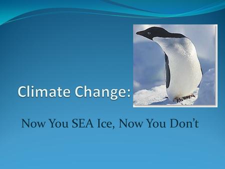 Now You SEA Ice, Now You Don’t