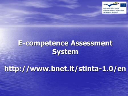 E-competence Assessment System