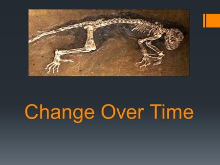 Change Over Time. Dramatic changes have occurred on Earth over time  Climates have changed, forests have become deserts, and seas have dried up. These.