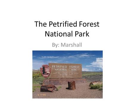 The Petrified Forest National Park By: Marshall. The Park’s Founding The Petrified Forest National Monument was createdDecember 8, 1906 through a proclamation.