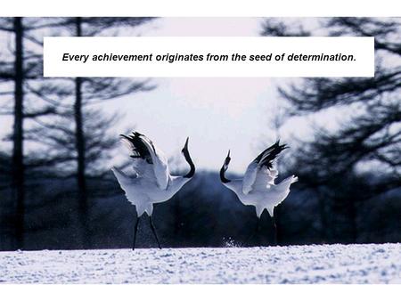 1 Every achievement originates from the seed of determination.