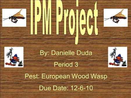 By: Danielle Duda Period 3 Pest: European Wood Wasp Due Date: 12-6-10.