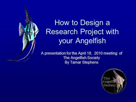 How to Design a Research Project with your Angelfish A presentation for the April 18, 2010 meeting of The Angelfish Society By Tamar Stephens.