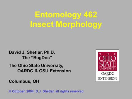 Entomology 462 Insect Morphology