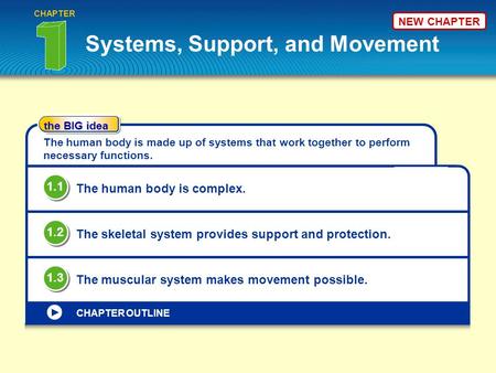 Systems, Support, and Movement