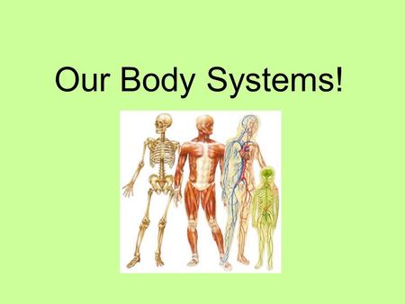 Our Body Systems!. Body Systems What are they? You have 11 body systems in your body. Each of these work together to make your body operate. When you.