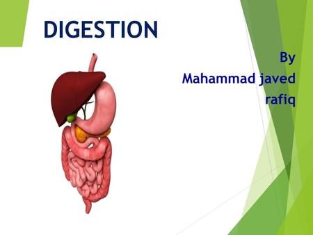 DIGESTION By Mahammad javed rafiq. INTRODUCTION Digestion is the breakdown of large insoluble food molecules into small water- soluble food molecules.