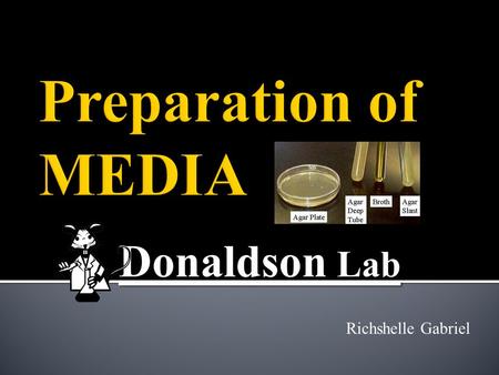 Donaldson Lab Richshelle Gabriel.  HI Study o Hypoxic-Ischemic Injury o Induced through surgery o Complete Tasks with the rats o Novel Object o Morris.