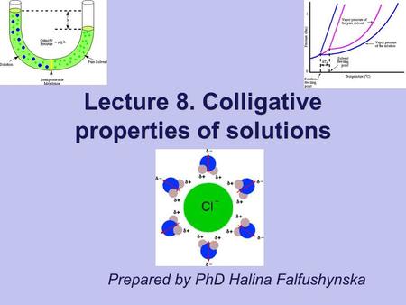 Prepared by PhD Halina Falfushynska Lecture 8. Colligative properties of solutions.