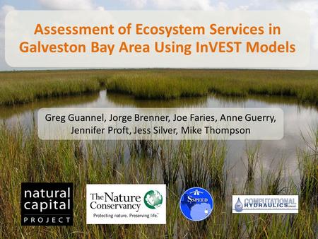 Assessment of Ecosystem Services in Galveston Bay Area Using InVEST Models Greg Guannel, Jorge Brenner, Joe Faries, Anne Guerry, Jennifer Proft, Jess Silver,