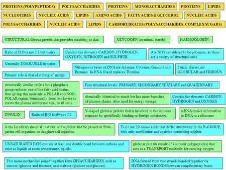 NUCLEIC ACIDSNUCLEOTIDES NUCLEIC ACIDS LIPIDS FATTY ACIDS & GLYCEROL LIPIDS PROTEINS (POLYPEPTIDES) AMINO ACIDS PROTEINS CARBOHYDRATES (POLYSACCHARIDES,
