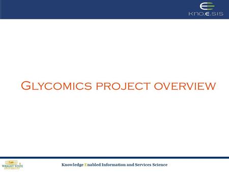 Knowledge Enabled Information and Services Science Glycomics project overview.