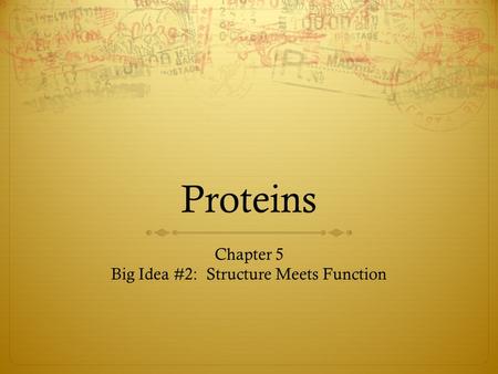 Proteins Chapter 5 Big Idea #2: Structure Meets Function.