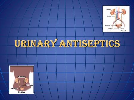 Urinary Antiseptics. Organisms  Escherichia coli  Proteus  Pseudomonas species  streptococci  Klebsiella  Enterococcus  Staphylococcus epidermidis.