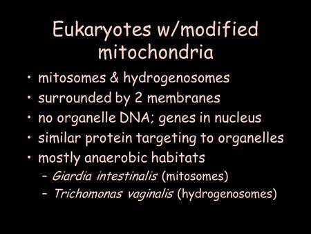 Eukaryotes w/modified mitochondria mitosomes & hydrogenosomes surrounded by 2 membranes no organelle DNA; genes in nucleus similar protein targeting to.