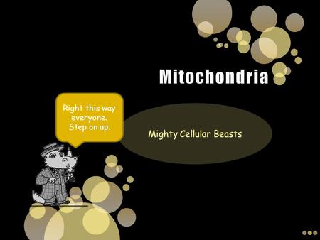 Right this way everyone. Step on up.. Introduction to Mitochondria This is a mitochondrion This is the inside of a mitochondrion What the heck is a.