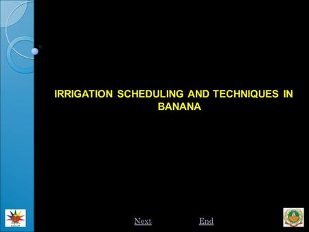 IRRIGATION SCHEDULING AND TECHNIQUES IN BANANA NextEnd.