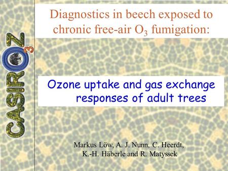 Diagnostics in beech exposed to chronic free-air O 3 fumigation: Ozone uptake and gas exchange responses of adult trees Markus Löw, A. J. Nunn, C. Heerdt,