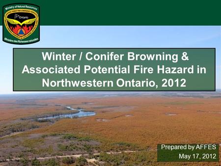 Winter / Conifer Browning & Associated Potential Fire Hazard in Northwestern Ontario, 2012 Prepared by AFFES May 17, 2012.