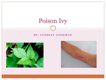 Poison Ivy By: Lyndsay Goodman.