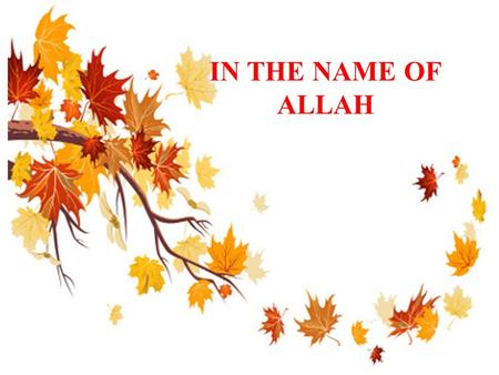 IN THE NAME OF ALLAH.